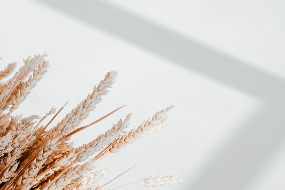 NV Medspa Honolulu photo 3