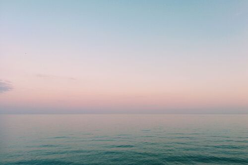 James Shibasaki-Gareau